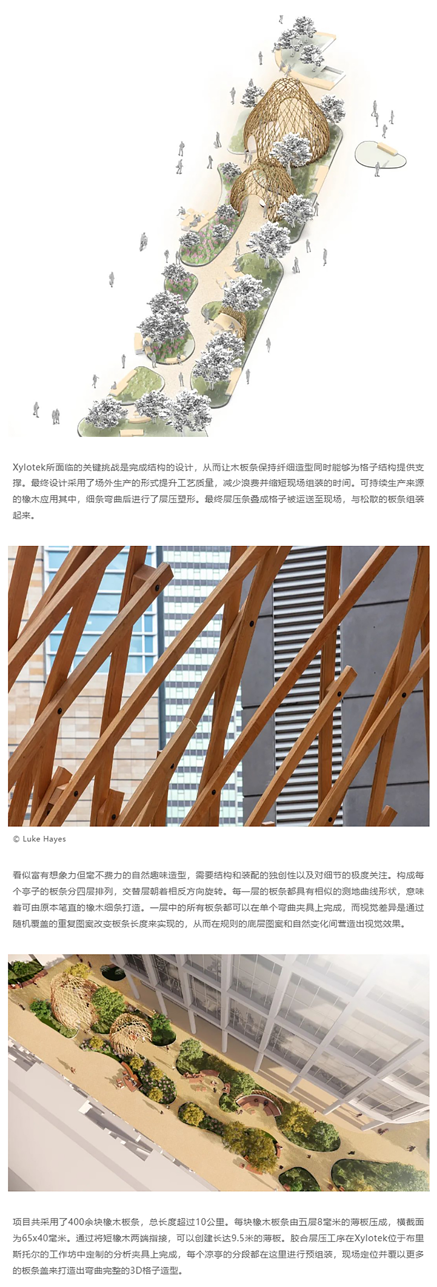 Renewal-Zone：解码自然之力︱伦敦摄政广场公共空间更新_0005_图层-6 拷贝.jpg