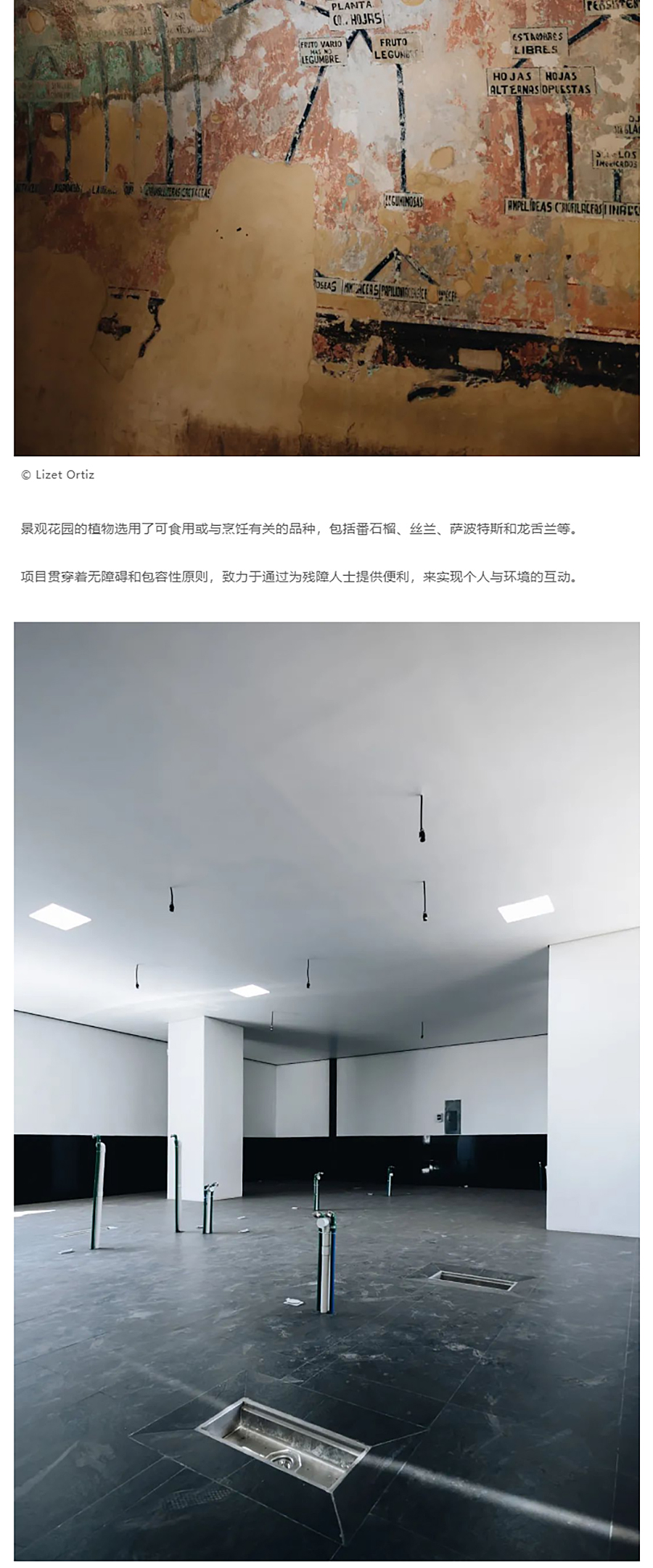 Renewal-Zone：旧修道院的更迭演变︱瓦哈卡美食中心_0013_图层-14 拷贝.jpg
