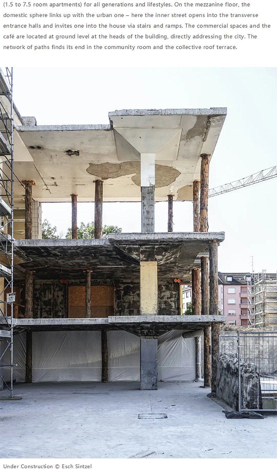 Renewal-Zone：巴塞尔旧红酒仓库衍化公寓︱建筑立柱引领内部城市-3_01.jpg