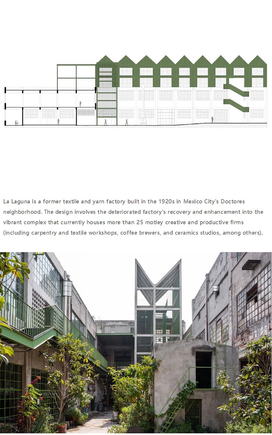 Renewal-Zone：纺织厂的绿意新生︱墨西哥城Laguna-3_06.jpg