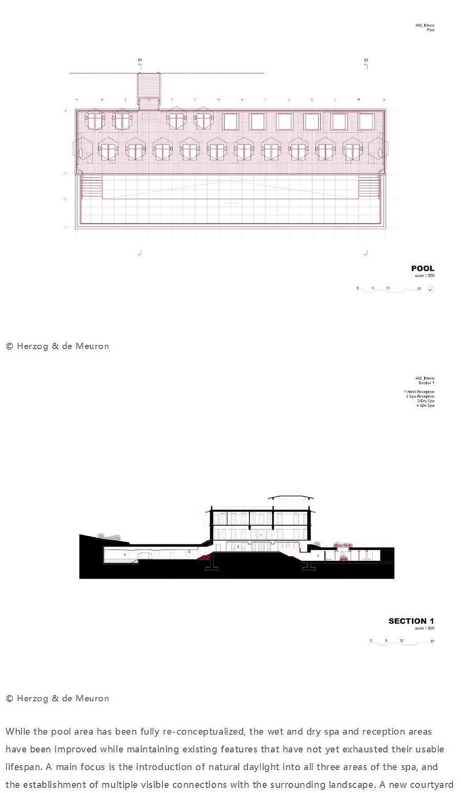 Renewal-Zone：Herzog-&-de-Meuron︱意大利科莫湖文华东方酒店-户外泳池及-3_03.jpg