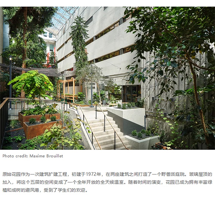 Renewal-Zone：迈索纳沃学院室内花园更新：汇集不同世界的多色宝石city不city-1_02.jpg