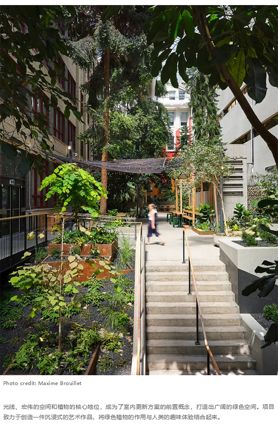 Renewal-Zone：迈索纳沃学院室内花园更新：汇集不同世界的多色宝石city不city-1_03.jpg