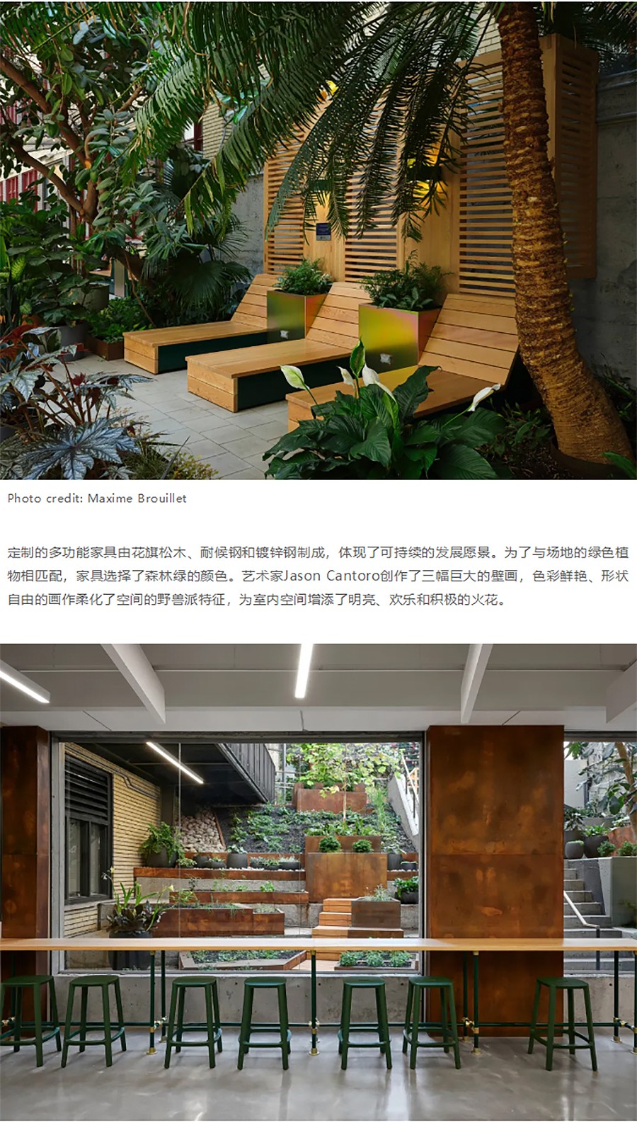 Renewal-Zone：迈索纳沃学院室内花园更新：汇集不同世界的多色宝石city不city-2_02.jpg
