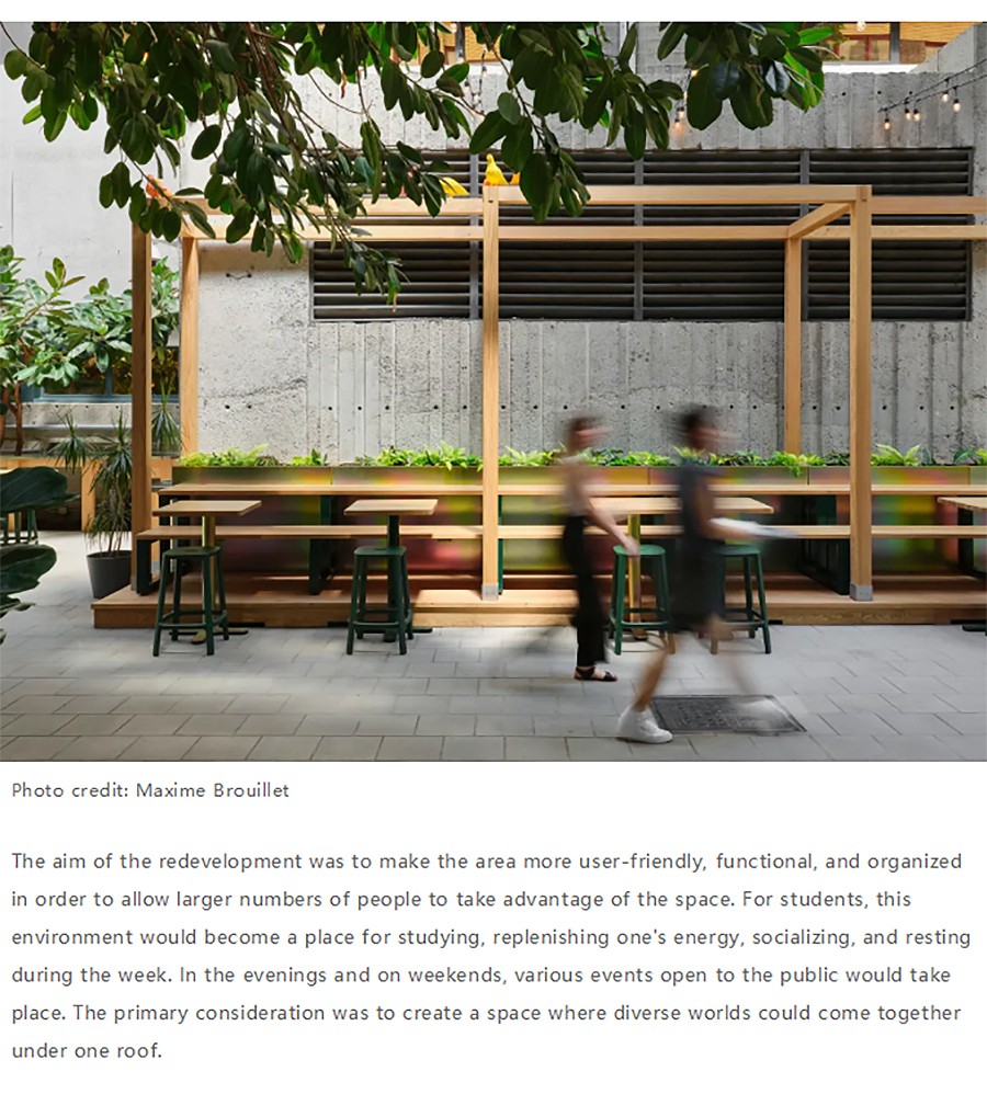 Renewal-Zone：迈索纳沃学院室内花园更新：汇集不同世界的多色宝石city不city-3_06.jpg