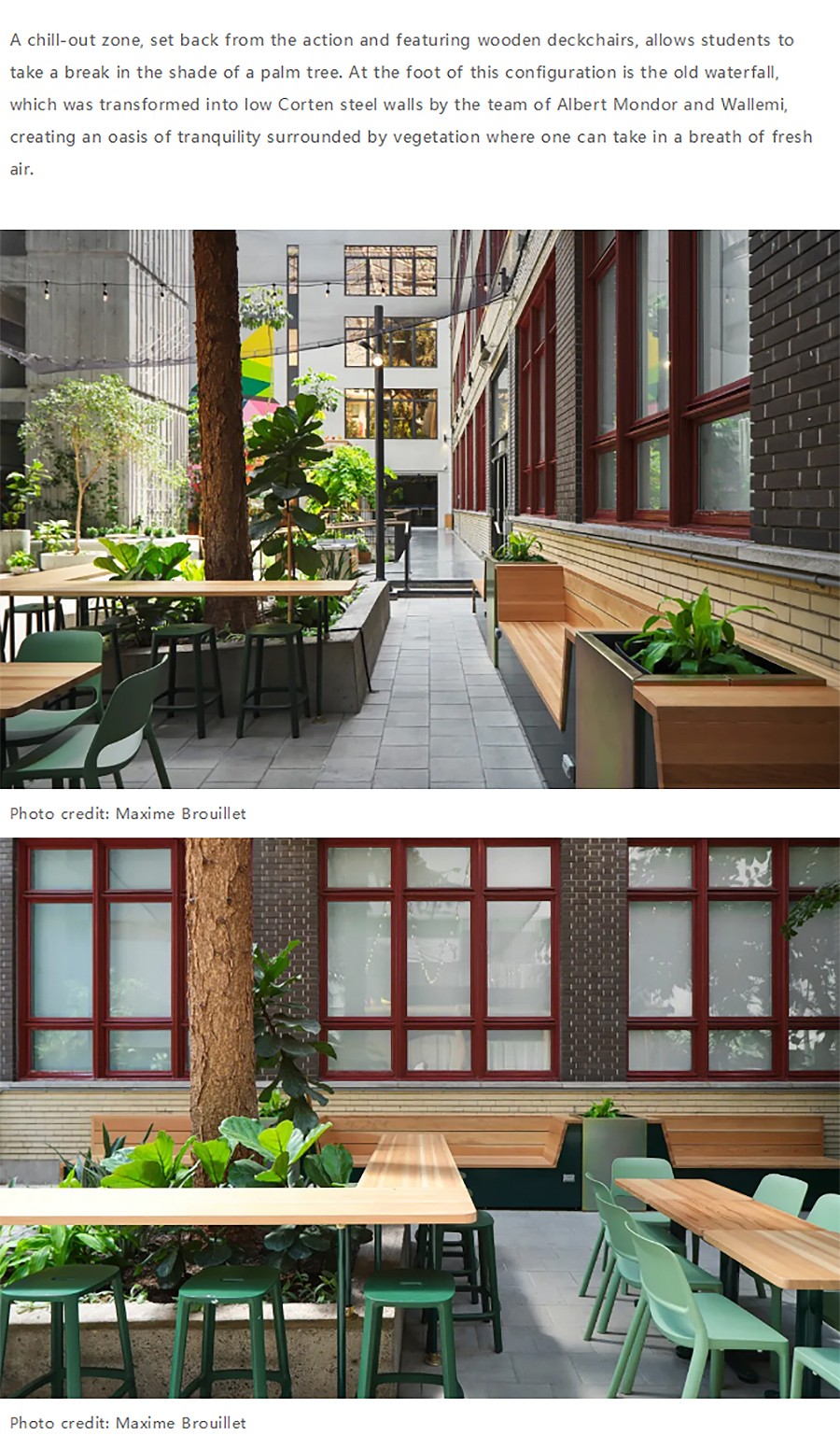 Renewal-Zone：迈索纳沃学院室内花园更新：汇集不同世界的多色宝石city不city-4_03.jpg