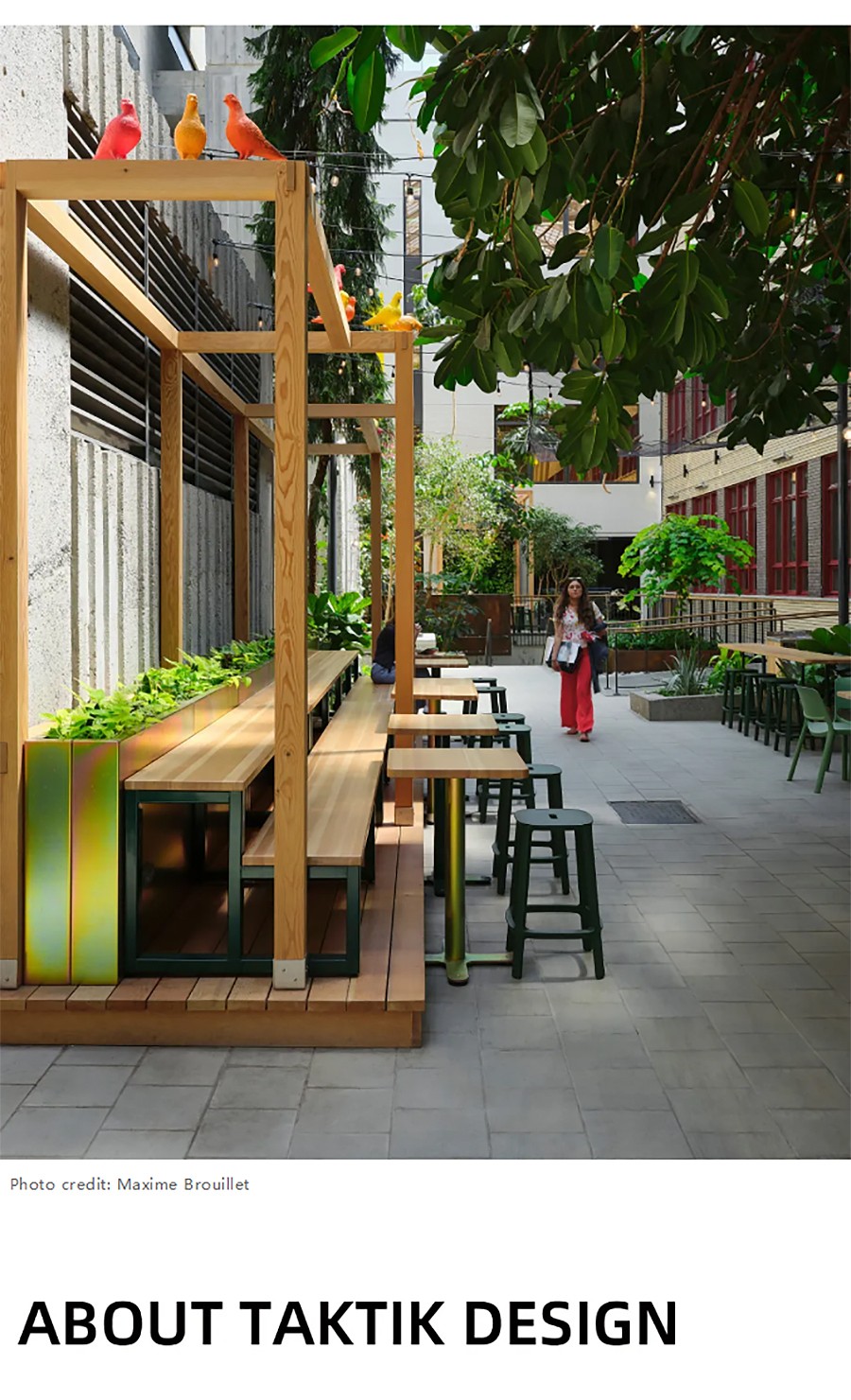 Renewal-Zone：迈索纳沃学院室内花园更新：汇集不同世界的多色宝石city不city-5_02.jpg