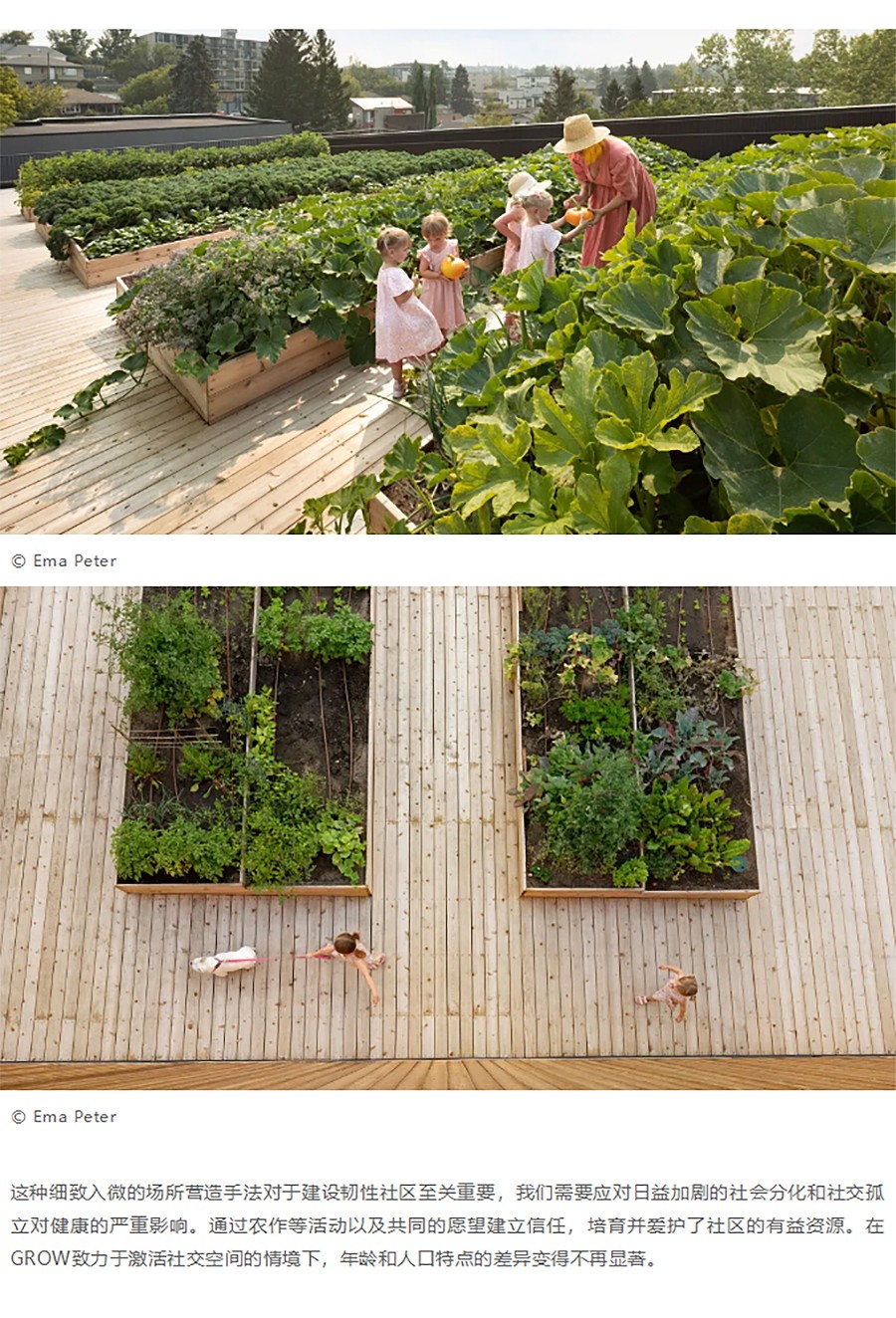 Renewal-Zone：一种很新的居住方式-_-一边种菜一边跨代际社交-无障碍都市农场公寓-1_05.jpg