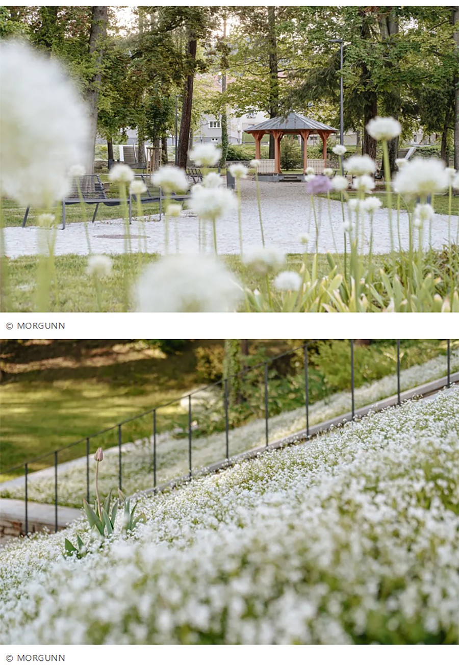 Renewal-Zone：斯蒂芬妮公园更新-百年公园活化记-1_01.jpg