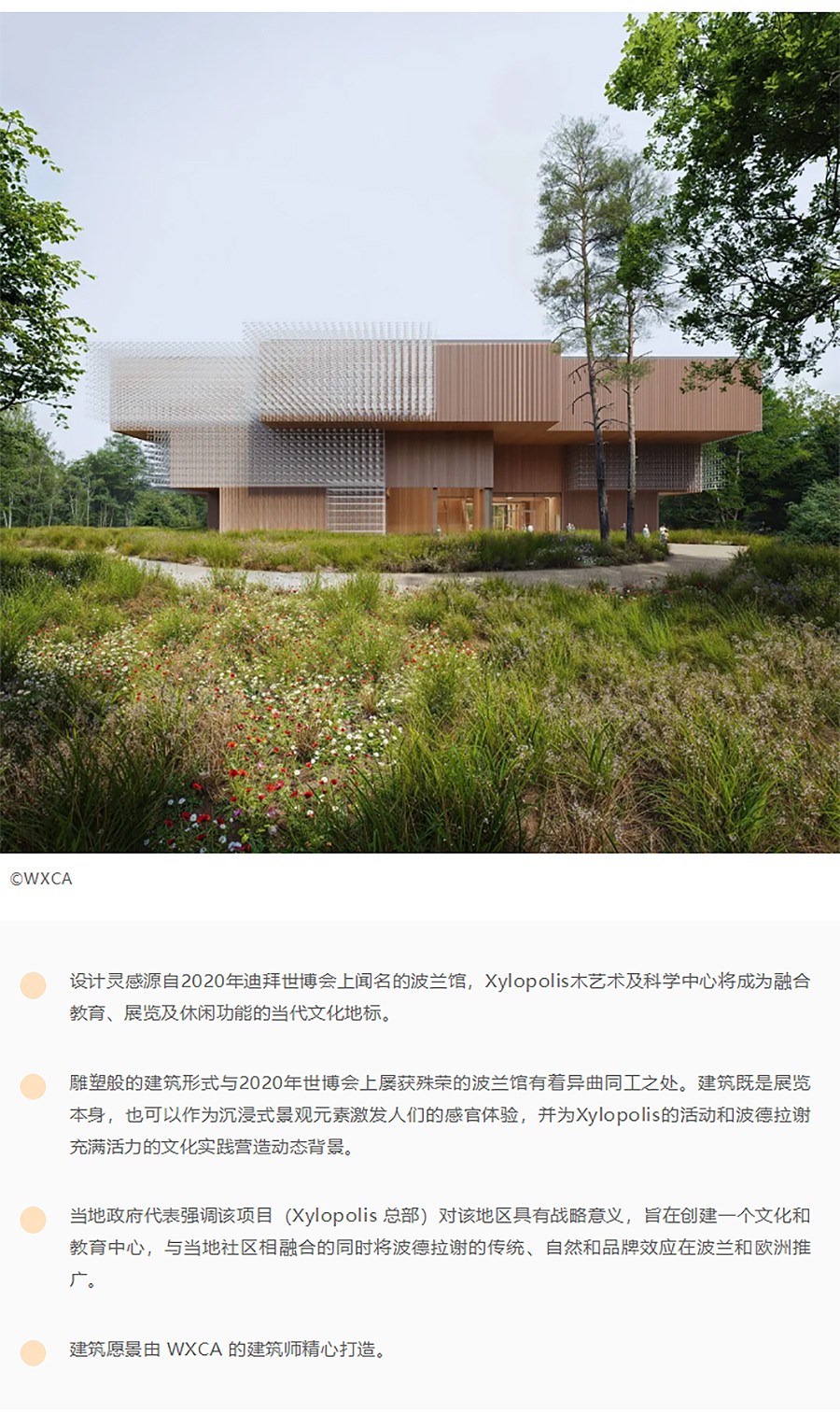 Renewal-Zone：Xylopolis木艺术及科学中心︱动态建筑-低排放材料与自然的协同作用-1_01.jpg