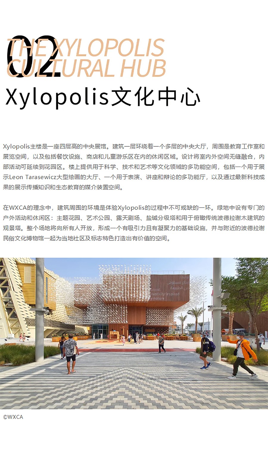 Renewal-Zone：Xylopolis木艺术及科学中心︱动态建筑-低排放材料与自然的协同作用-1_05.jpg
