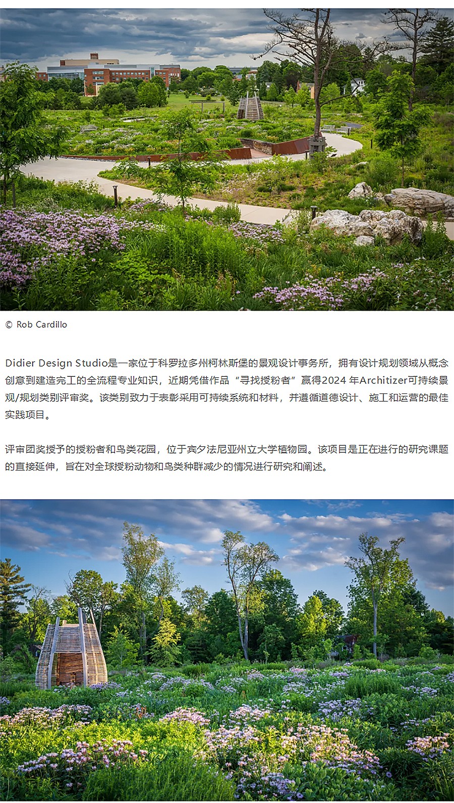 Renewal-Zone：新晋获奖作品的生物表现力与可持续发展︱授粉者和鸟类花园-1_01.jpg