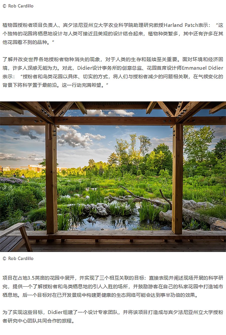 Renewal-Zone：新晋获奖作品的生物表现力与可持续发展︱授粉者和鸟类花园-1_02.jpg