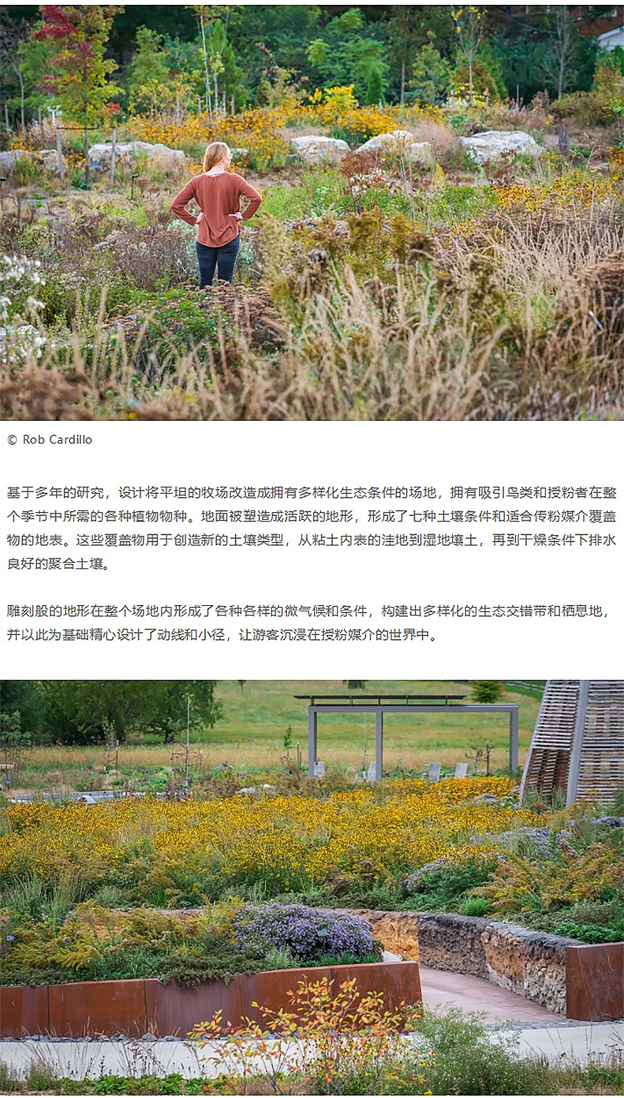 Renewal-Zone：新晋获奖作品的生物表现力与可持续发展︱授粉者和鸟类花园-1_03.jpg
