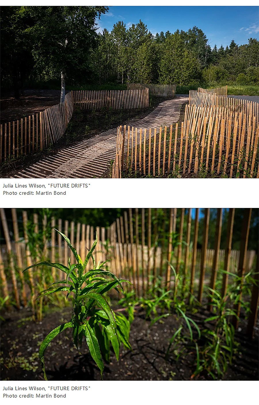 Renewal-Zone：一久⑥新-_-一座花园的社会责任：可能性的生态-2_01.jpg