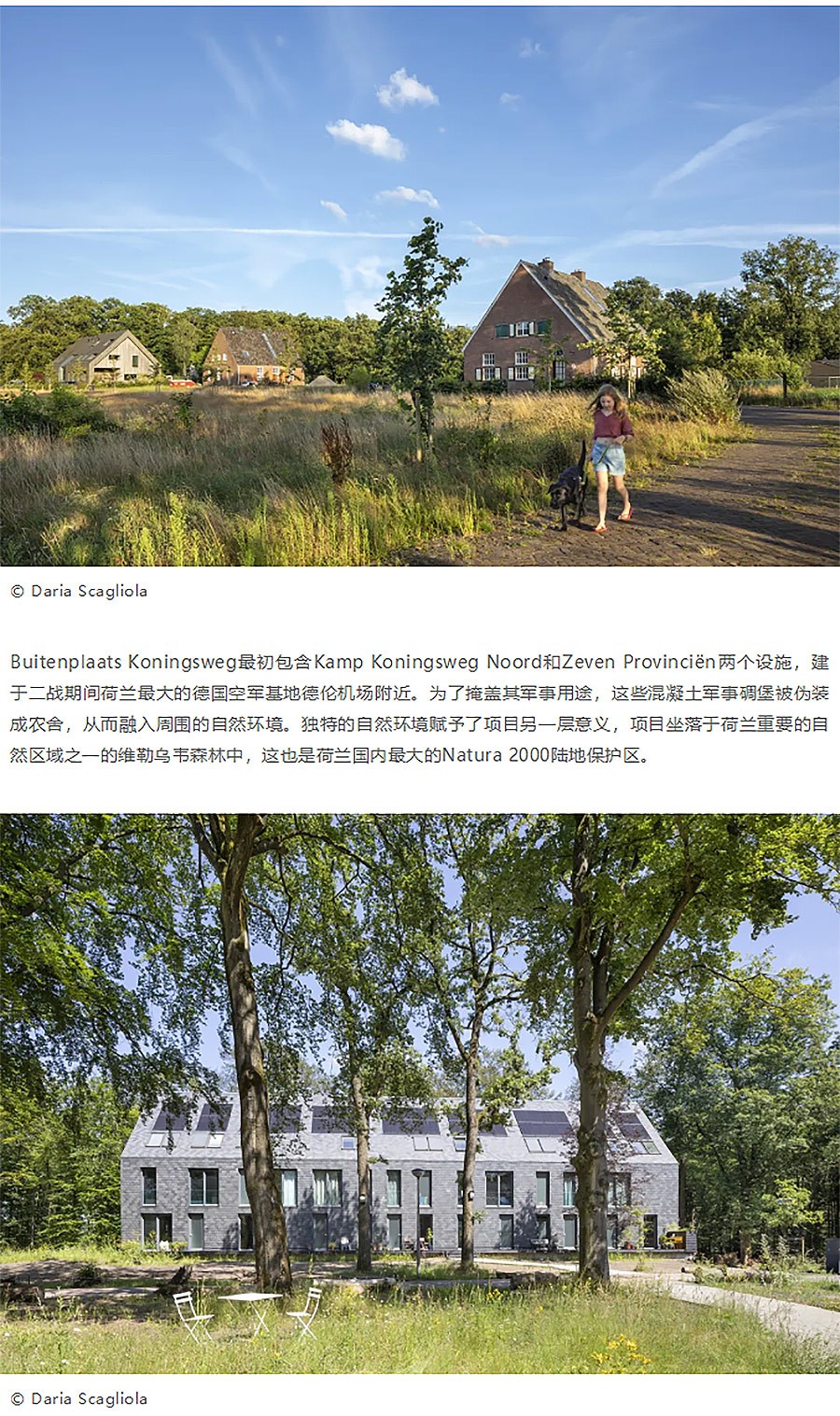 Renewal-Zone：自然景观中的文化住宅聚落︱他们在荷兰改造二战前德军基地-1_03.jpg