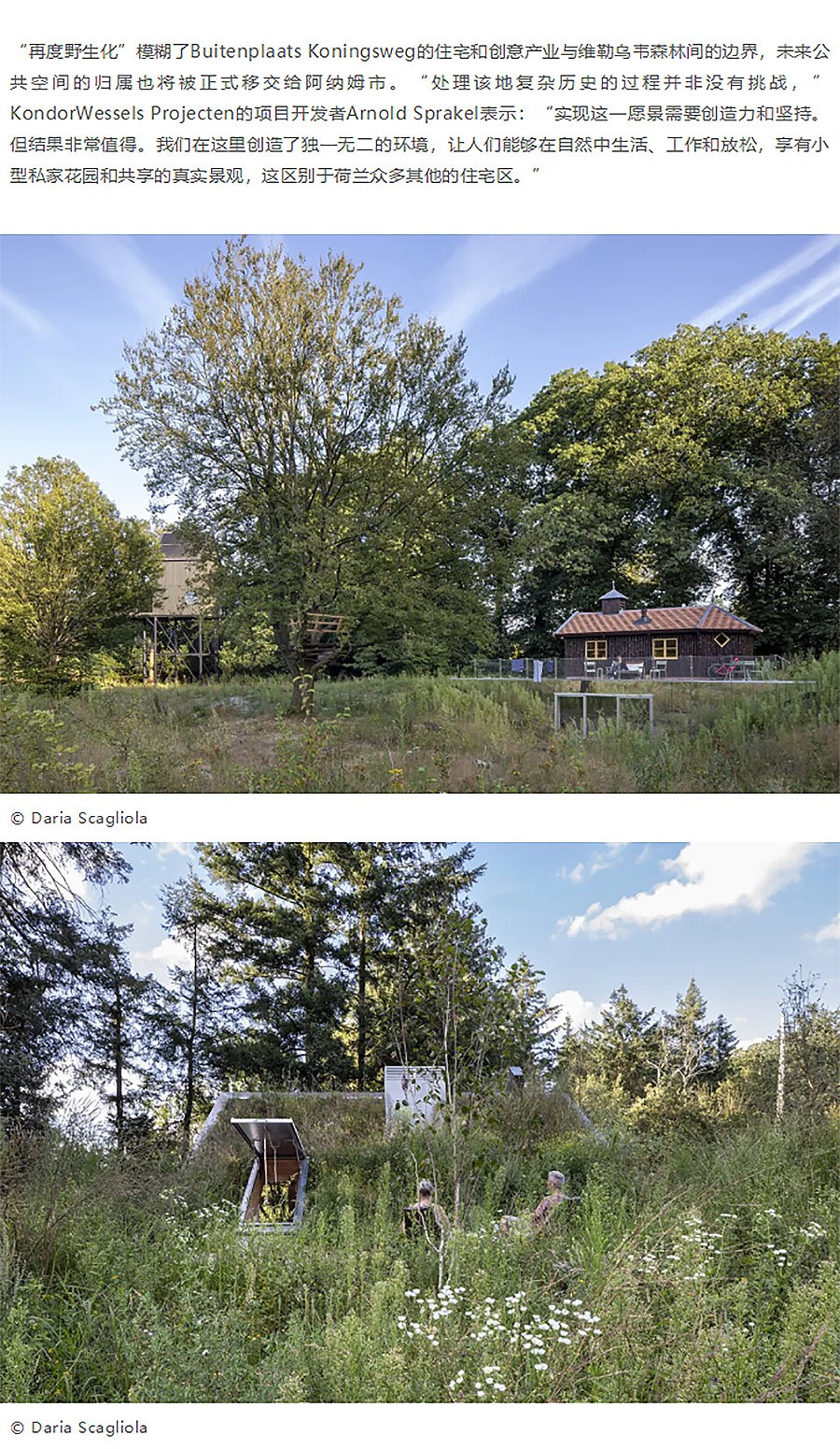 Renewal-Zone：自然景观中的文化住宅聚落︱他们在荷兰改造二战前德军基地-2_03.jpg