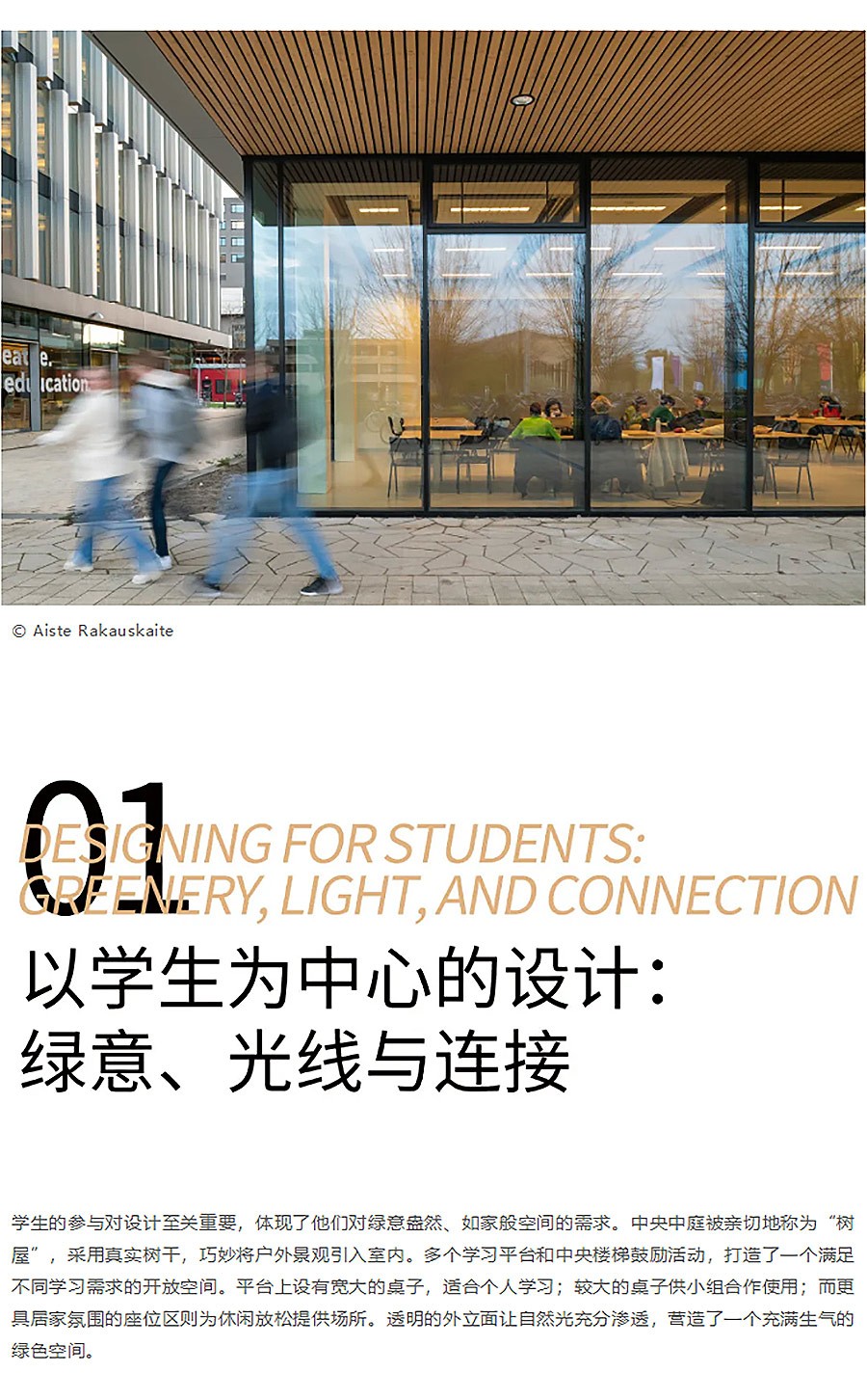 从白蚁巢穴到校园树屋︱Langeveld大楼的可持续设计突破-1_03.jpg