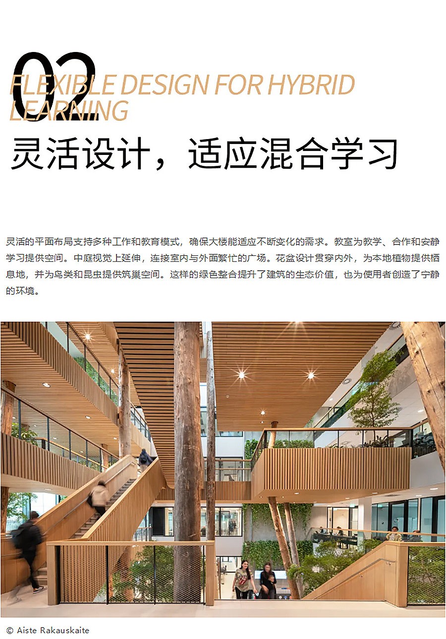 从白蚁巢穴到校园树屋︱Langeveld大楼的可持续设计突破-1_05.jpg